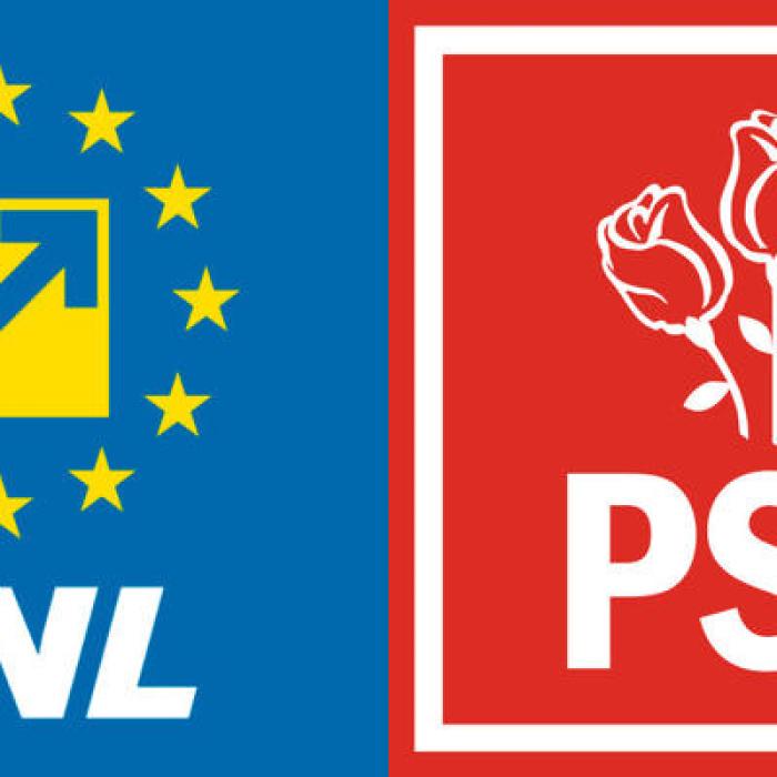 Acord PSD-PNL pe comasarea alegerilor. Parlamentarele, simultan cu turul doi al prezidențialelor