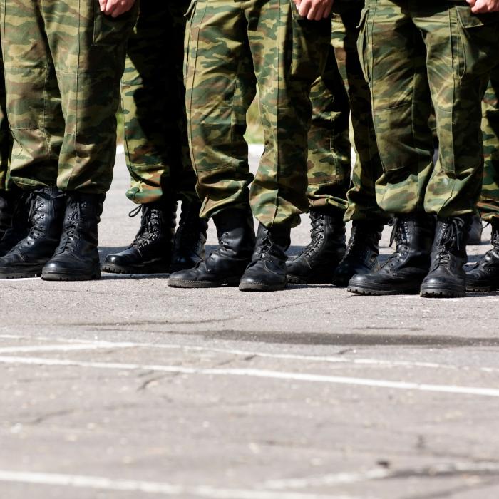 Cât vor câștiga românii care vor face serviciul militar voluntar