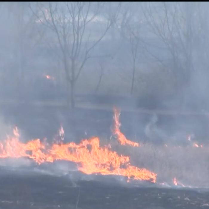 Arde Delta Văcăreşti. Focul cuprinde aproximativ două hectare. Zeci de pompieri încearcă să stingă incendiul