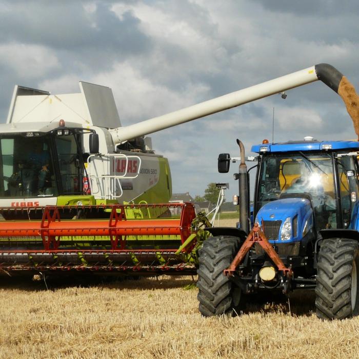 UE acordă 240 de milioane de euro agricultorilor din România, "afectați" de cerealele din Ucrina 