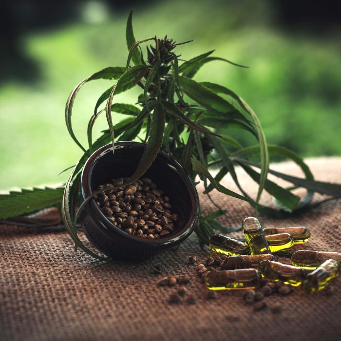 Ucraina a legalizat consumul de canabis în scop medicinal. ”Peste șase milioane de persoane au nevoie” 