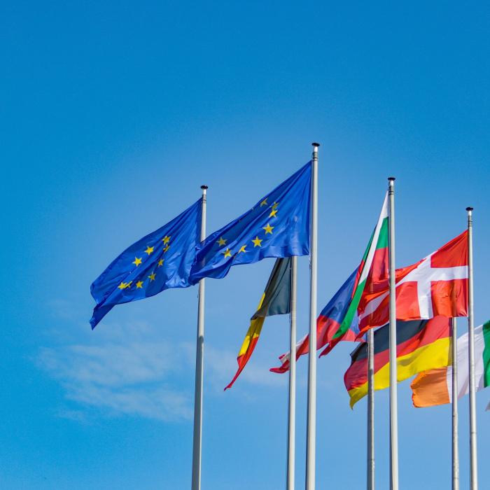 UE cere eliberarea tuturor deținuților politici din Rusia după moartea lui Navalnîi