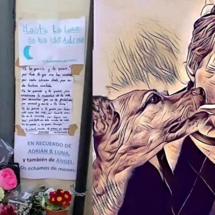 Omagiu pentru un român fără adăpost și câinele său, care și-au pierdut viața într-un incendiu, în Spania. ”Te-am iubit și te iubesc pentru că m-ai învățat realitatea vieții”