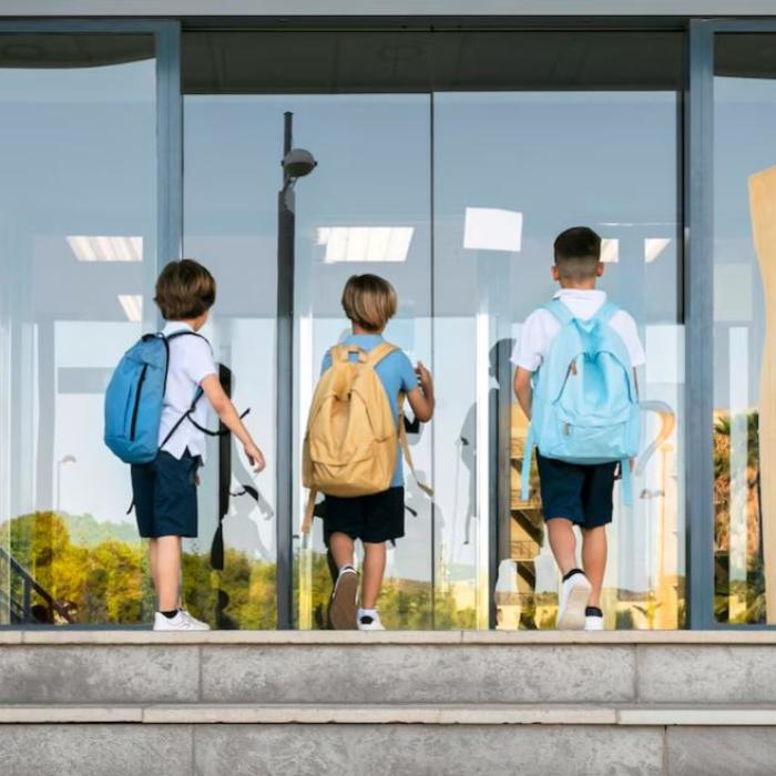 De ce reușesc românii în străinătate: "Am fost învățați de mici să muncim mult. În vest copiii sunt mai protejați" 