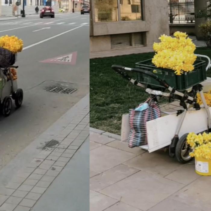 Imagini emoționante cu o bătrână de 80 care vinde flori în Craiova. ”Bătrânii sunt comori neprețuite” - VIDEO
