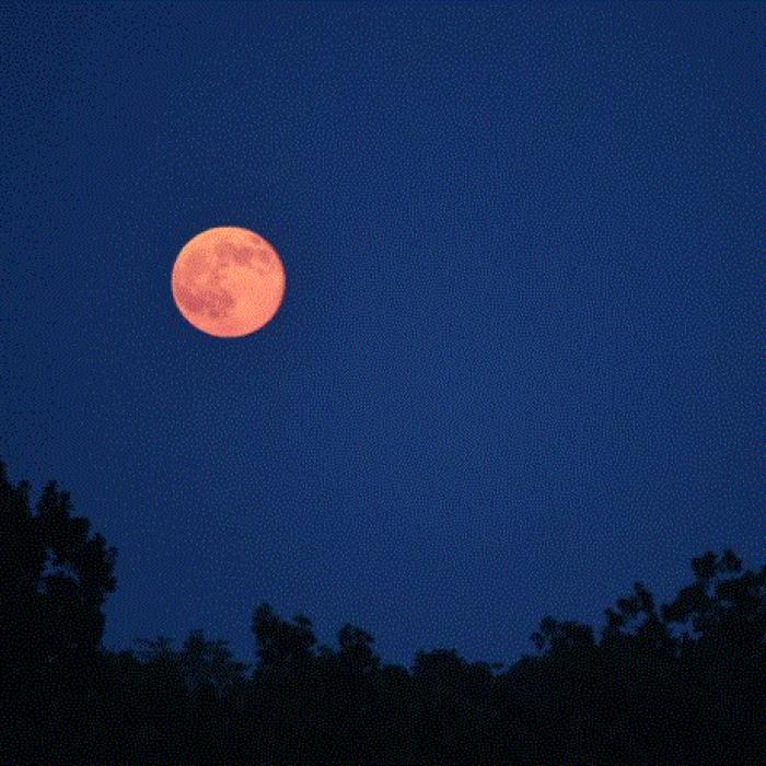 Fenomen astronomic rar. Luna Plină Roz va străluci în această noapte pe cerul Italiei 