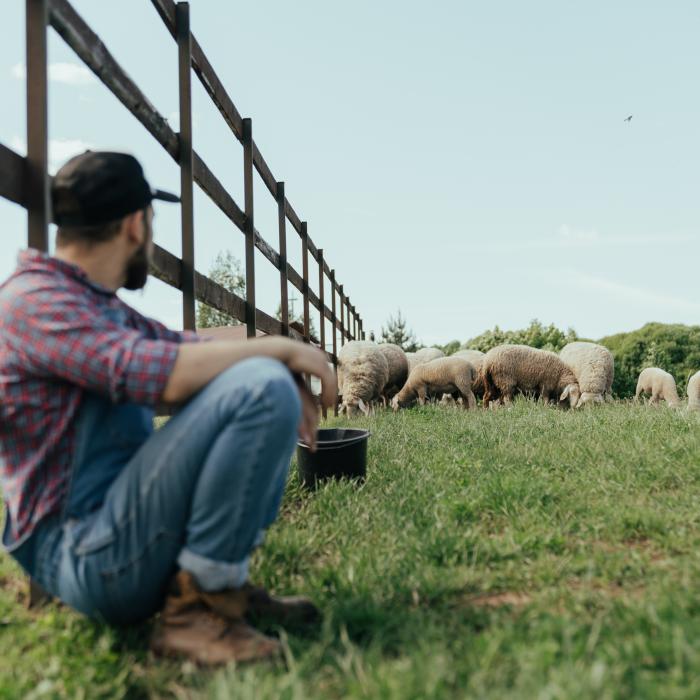 Într-o localitate din România s-a înscris un singur primar în cursă, din partea PSD 