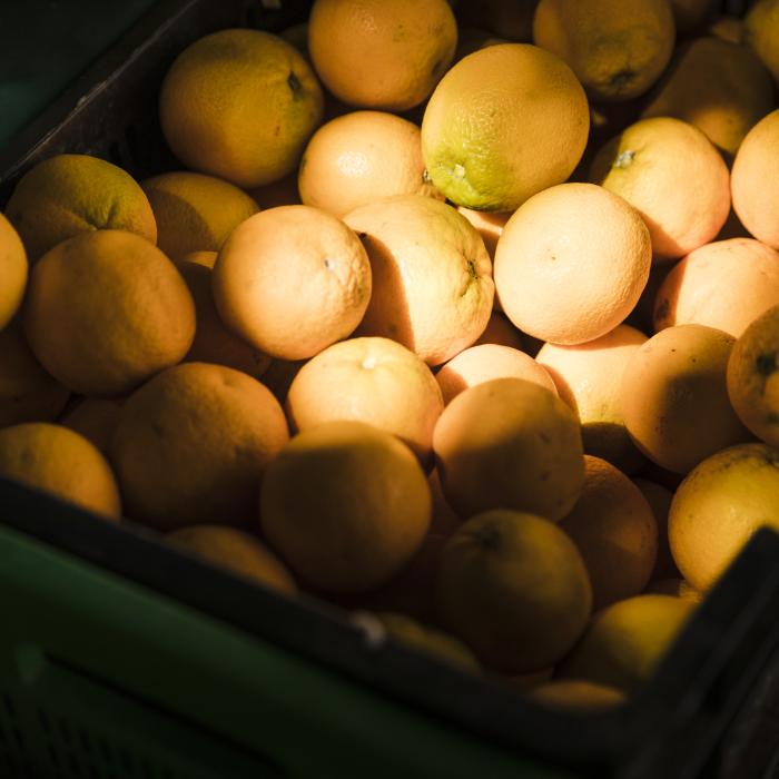 Un român a provocat haos pe o șosea din Franța. S-a răsturnat cu camionul și a împrăștiat 9 tone de portocale