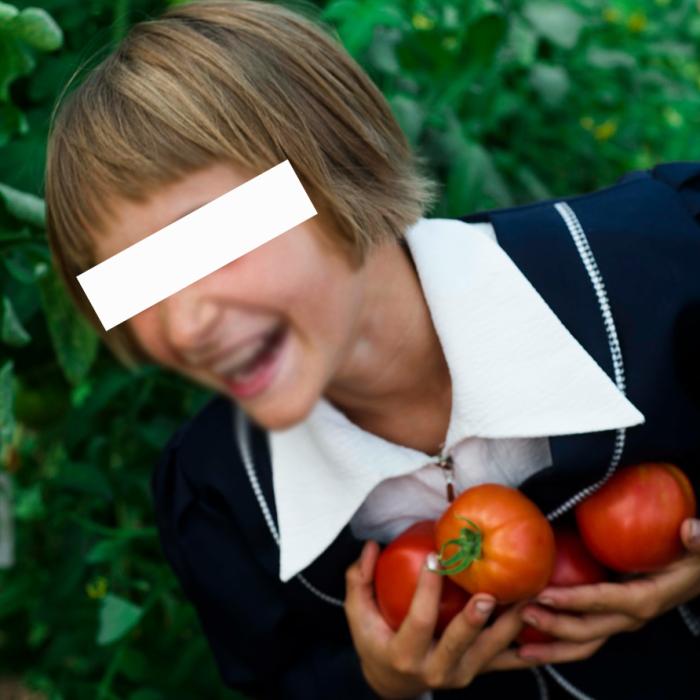 Copii intoxicați la două școli din Italia: "Au mâncat roșii". Proiectul Ministerului Agriculturii, "Fructe și legume la școală" a fost oprit