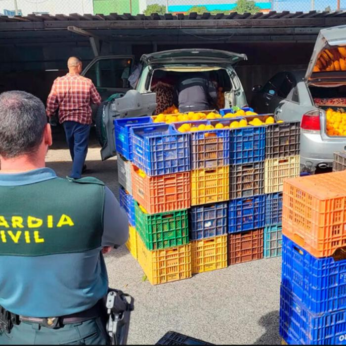 Români arestați în Spania, după ce au furat peste 160 de tone de portocale