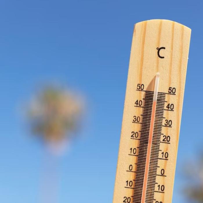 Căldură extremă în India: 85 de persoane au murit în 24 de ore. Temperaturi de peste 50 de grade și umiditate ridicată