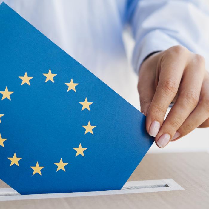 Europarlamentare 2024. Românii votează din toate colțurile lumii