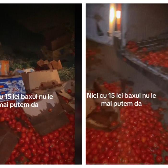 Fermierii români aruncă roșiile la gunoi: "Nici cu 15 lei baxul nu le mai putem da"