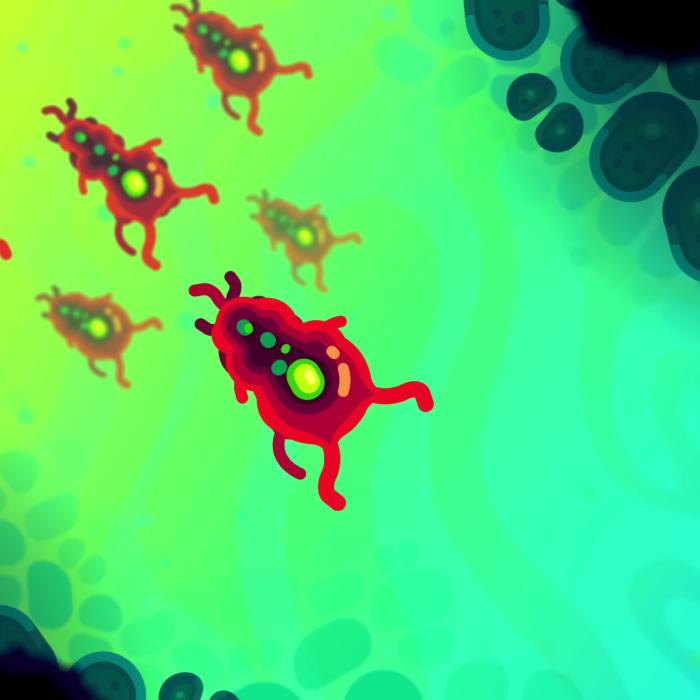 Tot ce trebuie să știi despre Amoeba, bacteria din lacuri, râuri și piscine, extrem de periculoasă pentru oameni