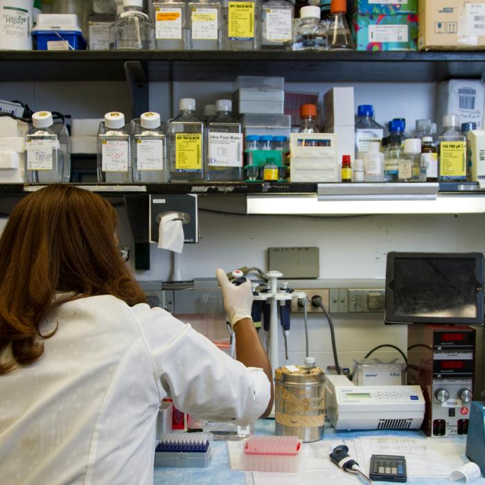 Medicii sunt cu un pas mai aproape de tratarea bolii Alzheimer