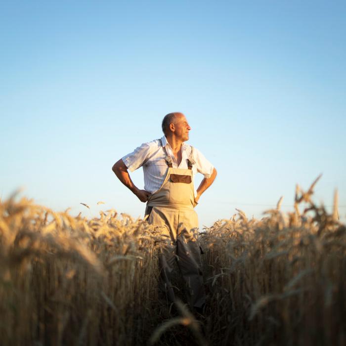 Cum a convins un fermier din Arad românii plecaţi din ţară să revină acasă: le-a dat salarii de 15.000 de lei