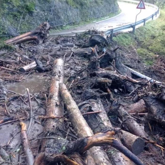 Furtuni și alunecări de teren în Italia: Câteva drumuri regionale sunt blocate 