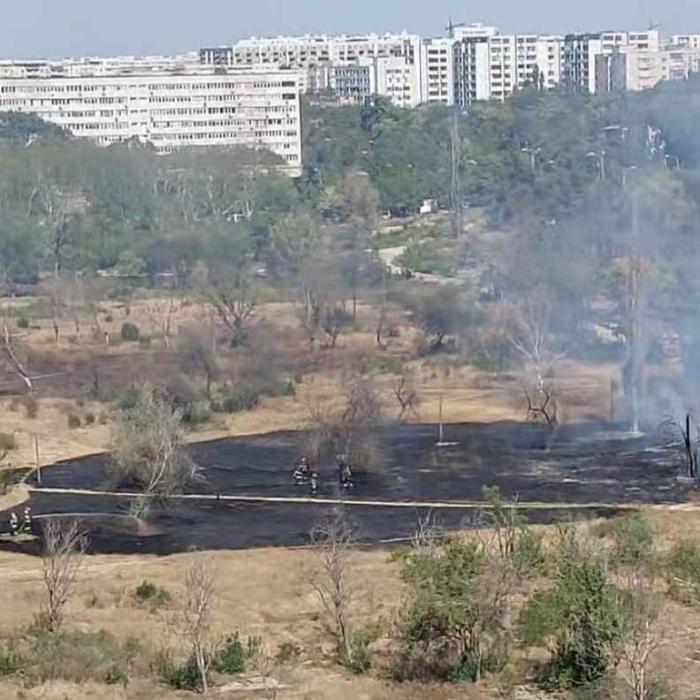 Incendiu de proporții în parcul IOR din Capitală: 10.000 de metri pătrați de vegetație uscată au fost mistuiți de flăcări