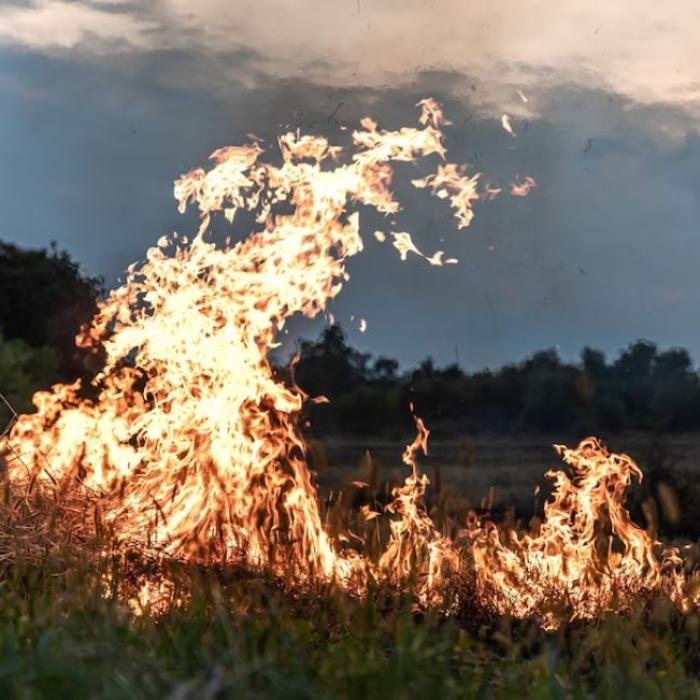Incendiile forestiere din Portugalia fac prăpăd: Două case au fost distruse și traficul rutier este blocat