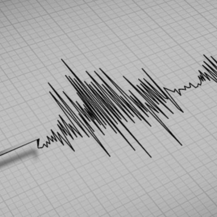 Cutremure în Gorj: Două seisme de mică intensitate au zguduit județul Gorj noaptea trecută
