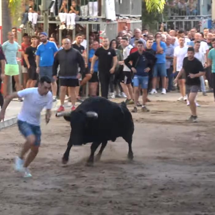 Român din Spania, rănit grav de un taur în timpul unei coride. A fost luat pe sus de animalul scăpat de sub control