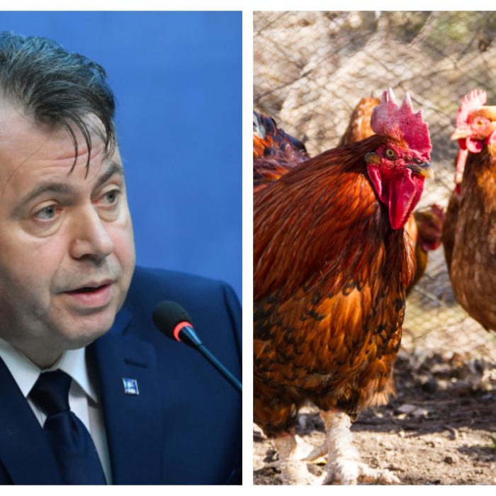 Fostul ministru al Sănătății, Nelu Tătaru, săltat de DNA pentru că ar fi luat șpăgi de la pacienți: găini, ouă și sume de bani