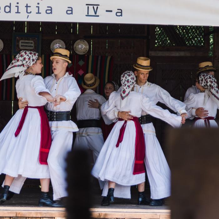 Primăriile ar trebui să finanțeze turismul cultural pentru românii din diaspora? - rezultat sondaj