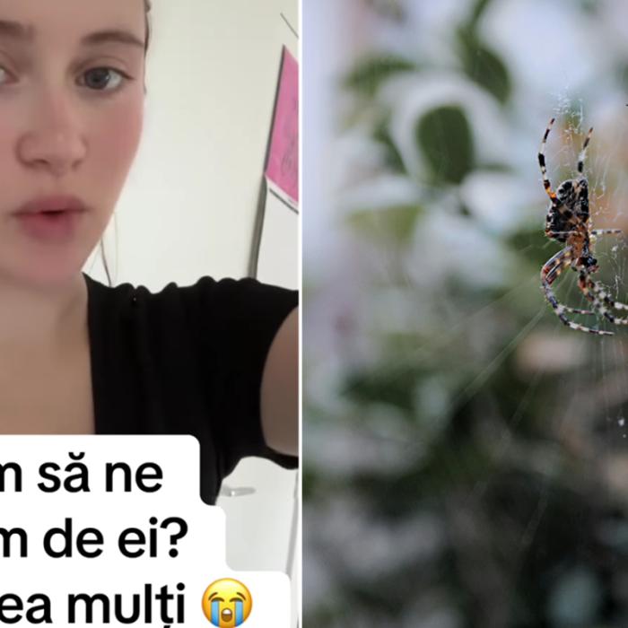 O româncă din Anglia avertizează toate mămicile: „Atenție la copii! Păianjenii sunt peste tot în această perioadă!”