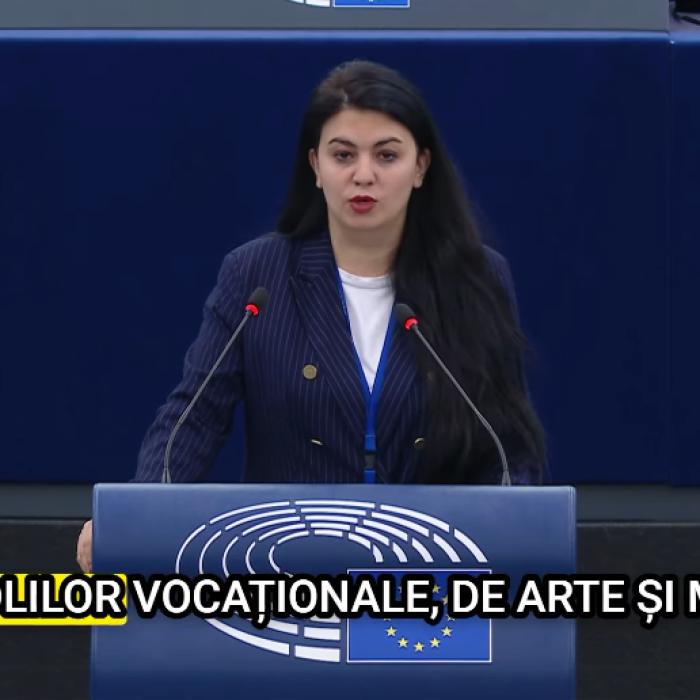 Georgiana Teodorescu, în plenul Parlamentului European: România are nevoie urgentă de redeschiderea școlilor de arte și meserii - VIDEO