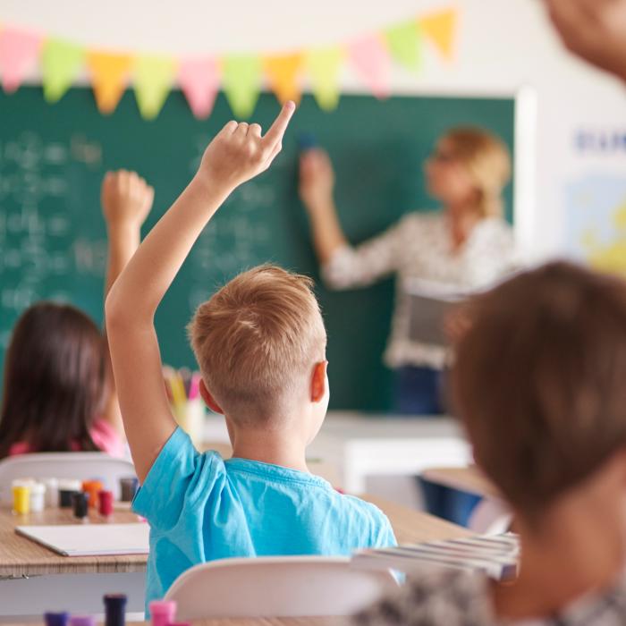 Planurile PSD în educație și cercetare, proiecte cu alocări bugetare clare pentru marile priorități ale elevilor și profesorilor