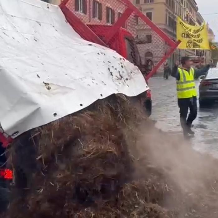 Scandal la Roma. Doi tineri au fost expulzați din oraș, după ce au lăsat bălegar la poarta Ministerului de Interne