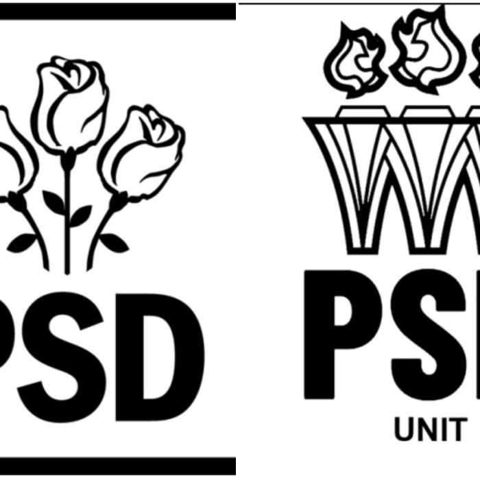 Lovitură pentru PSD. Un partid cu o siglă extrem de asemănătoare i-a "furat" aproape 10% din voturi - FOTO