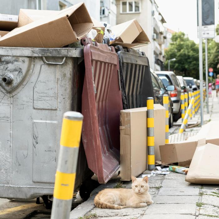 Noile reguli de reciclare le dau bătăi de cap românilor din Germania. Sunt șapte moduri diferite de a elimina deșeurile