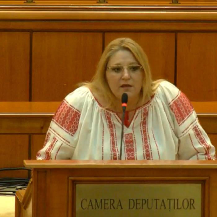 Diana Șoșoacă se întoarce în Senat. Vezi lista completă a noilor aleși