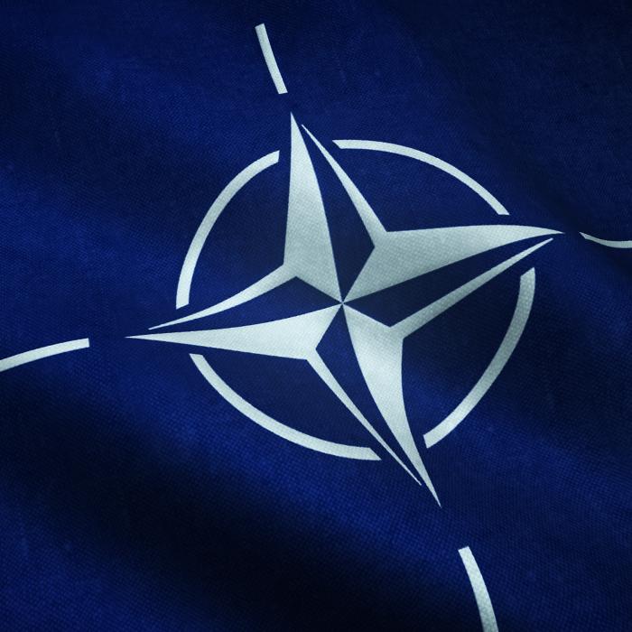 O țară NATO introduce serviciul militar obligatoriu