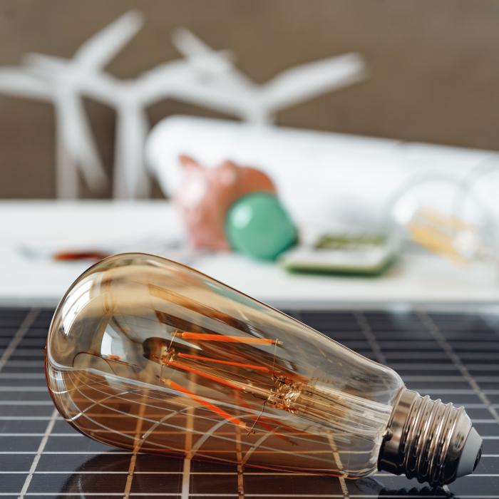 Furnizorii germani de energie electrică "fentează" statul și ascund informații importante pentru clienții lor