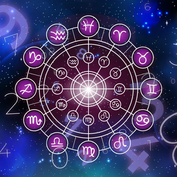 Horoscop 29 Ianuarie 2025: Berbecii descoperă noi provocări, iar peștii își Consolidează Relațiile