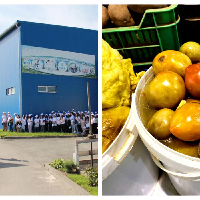 O companie din România oferă angajaților prime de murături de 2000 de lei