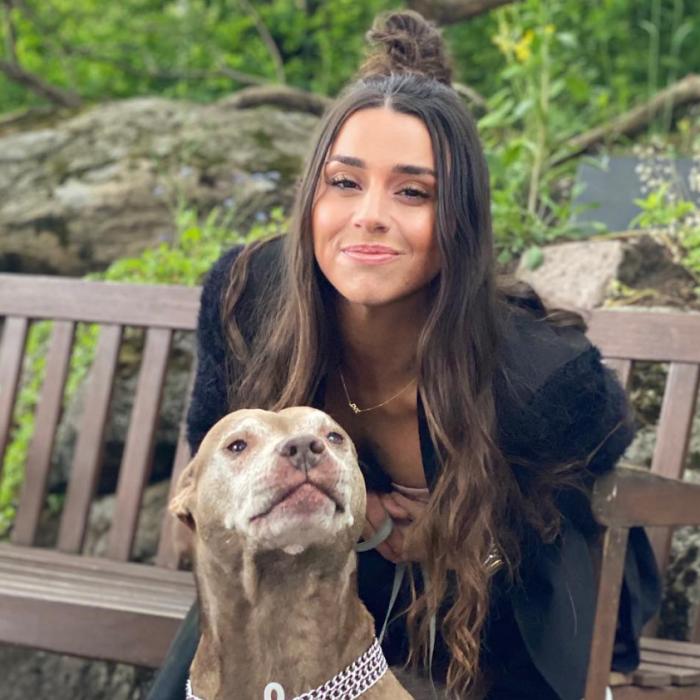 Cea mai căutată femeie din Europa a fost arestată în Spania. Acoperirea: salvatoarea câinilor abandonați