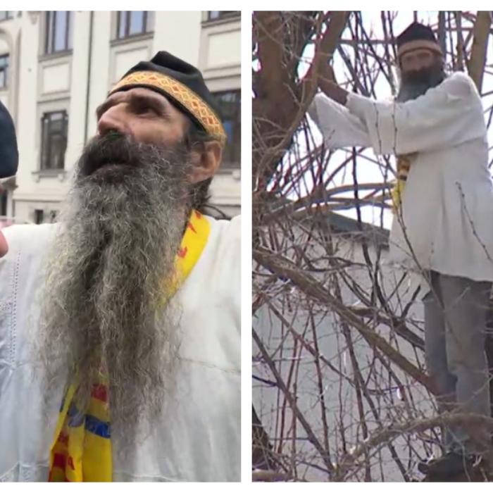 Stegarul dac, prins chiar înainte să se urce iar în copacul de lângă Arestul Central