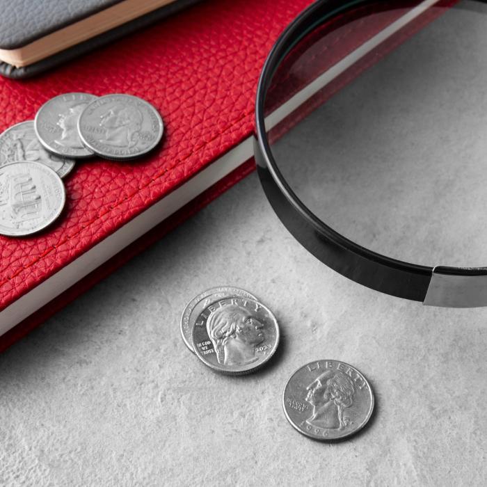 Una dintre cele mai mari companii IT din Germania a intrat în insolvență. Era pe piață de peste 30 de ani