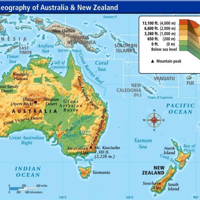 Costul vieții în Australia: Românii pot câștiga bine și fără studii superioare, dar birocrația și traiul pot fi o provocare