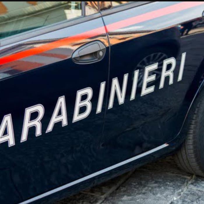 Ce au găsit polițiștii într-un magazin alimentar românesc din Italia. Afacerea înflorea, dar nimeni nu cumpăra nimic