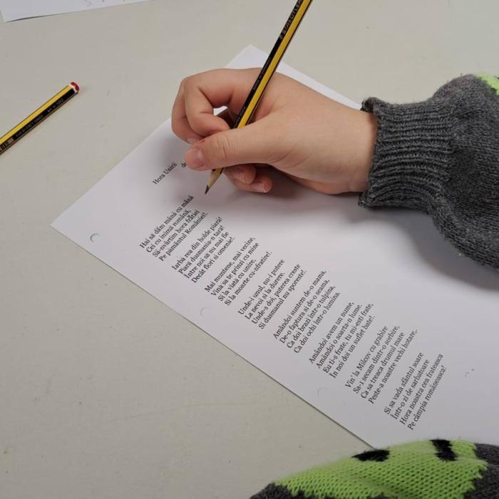 Ministerul Educației acordă burse românilor de pretutindeni pentru a studia în România, în anul școlar 2025-2026