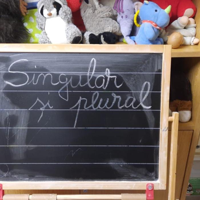 Sondaj ȘtiriDiaspora: Românii din diaspora consideră că statul nu sprijină suficient școlile românești din străinătate