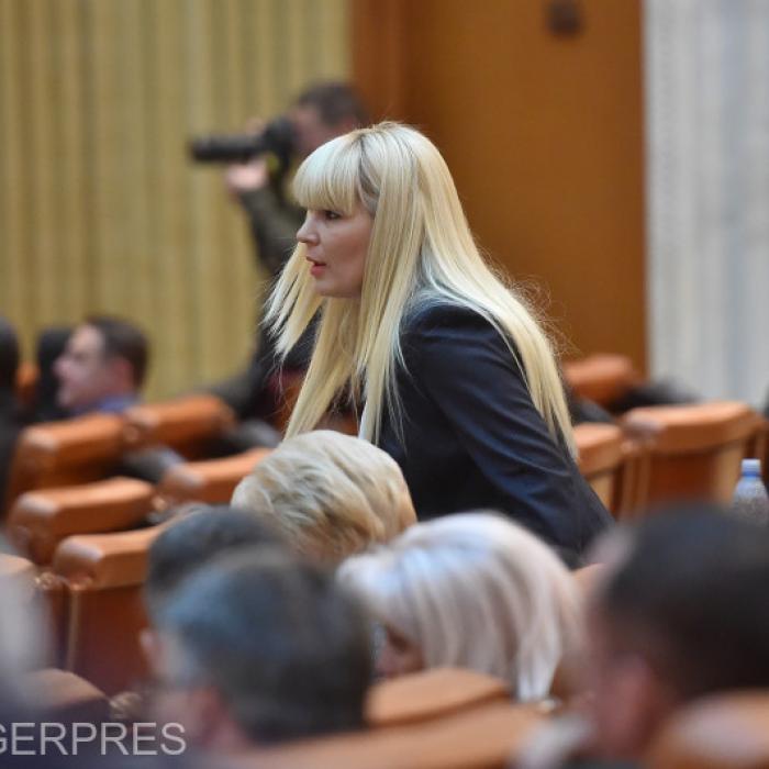 Ce boală are Elena Udrea. Cauzele și factorii de risc. Acum e la terapie intensivă