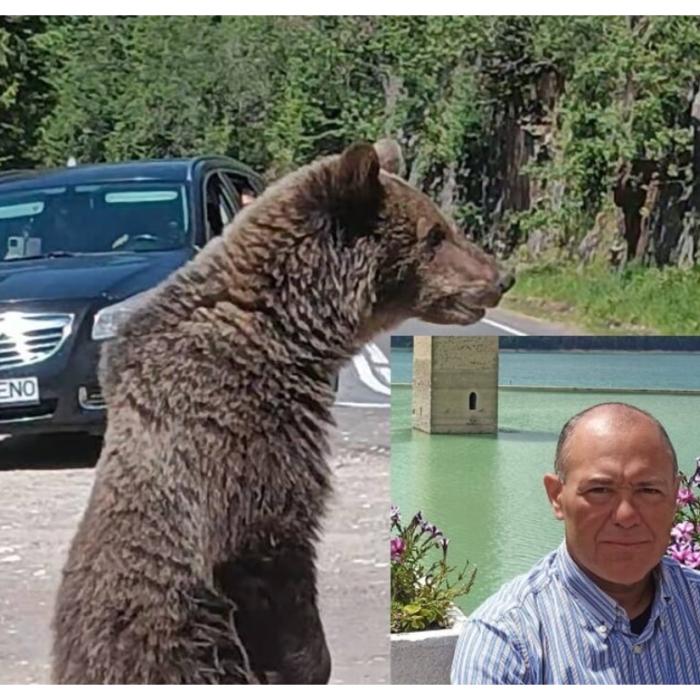 Presa din Italia, revoltată de moartea italianului de pe Transfăgărășan: "România are o mare problemă"