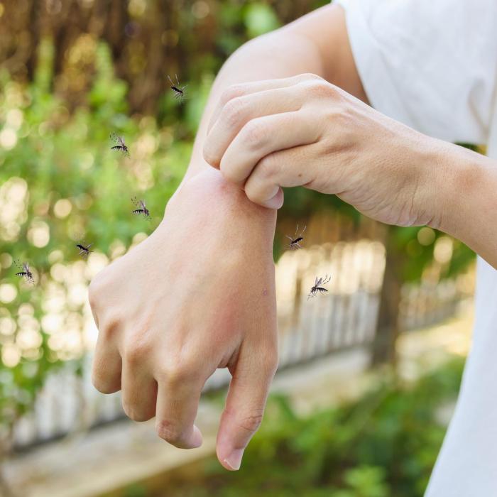 Alertă sanitară în Italia: Virusul West Nile, prezent în 15 provincii. O femeie a murit