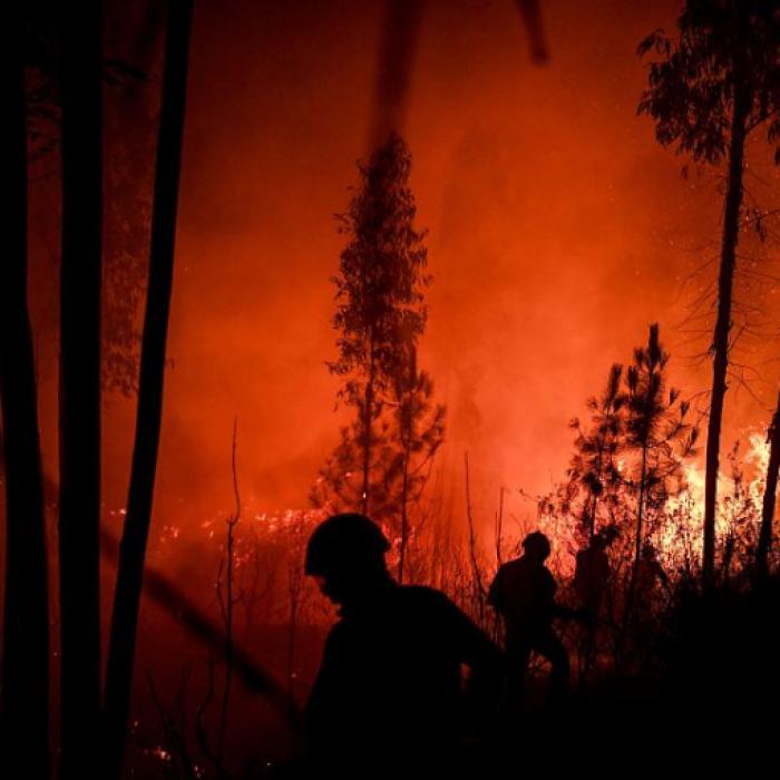 MAE, atenţionare de călătorie în Portugalia: Risc de incendii de vegetaţie