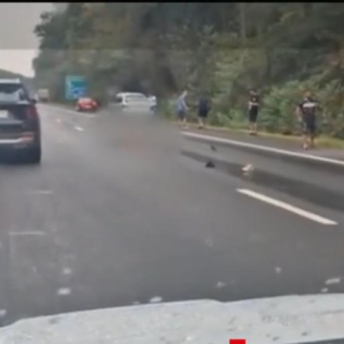 Povestea tinerilor care au murit îmbrățișați pe Autostradă. Aveau 14 și 18 ani și trăiau o iubire interzisă